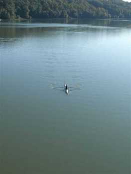 Ruderboot am Donaualtarm in Wallsee